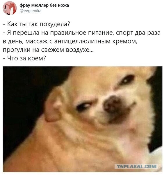 Бредзона 08.12.2020