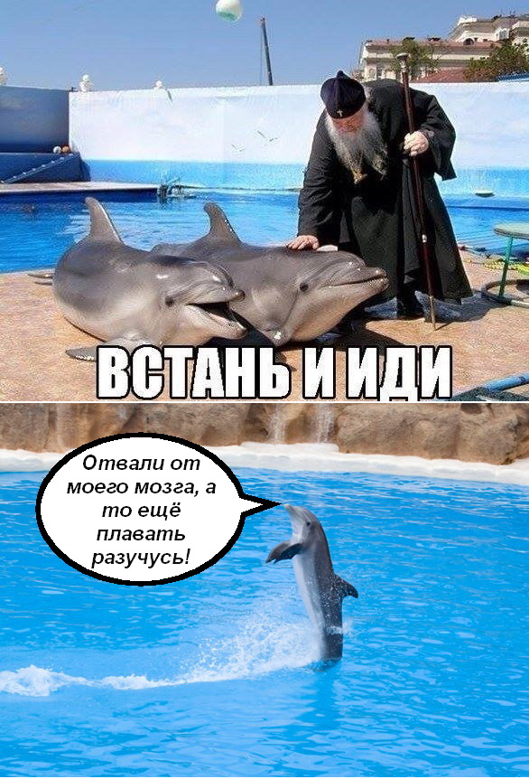 С миру по нитке 11.01.21