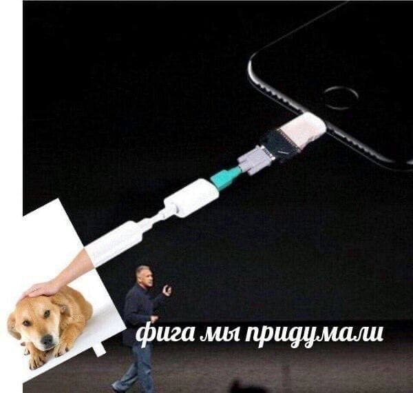 Не пропускай день деградации!