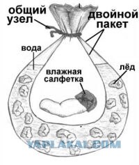 Дурость до добра не доводит