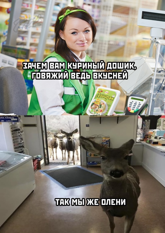 Картинки 12.02.21