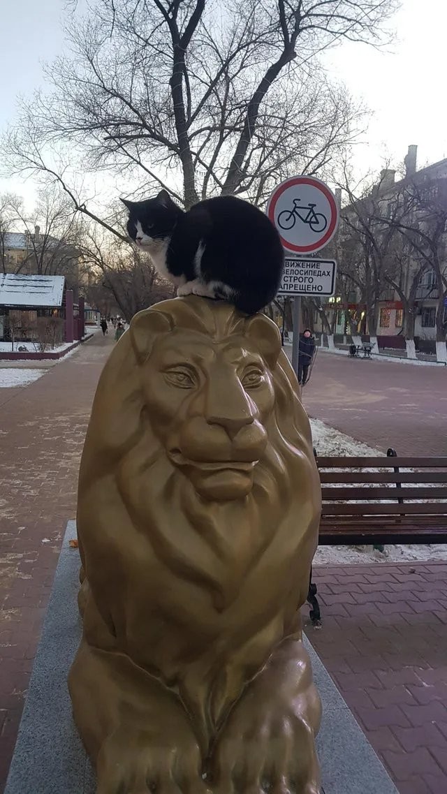 Картинки 21.03.21