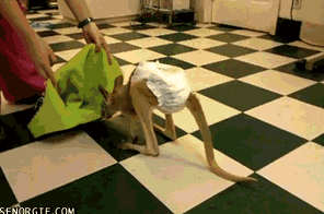 Сумка мой дом