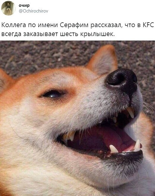 Весёлый полтишок 23.07