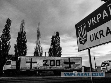 Треть опрошенных украинцев готовы защищать свои города и села с оружием в случае вторжения РФ.