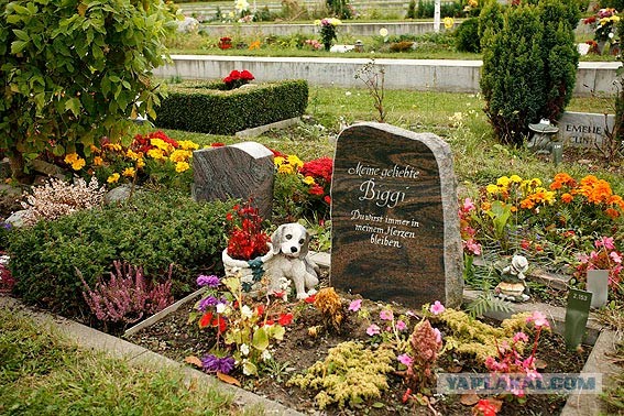 Доставка груза на необычный объект