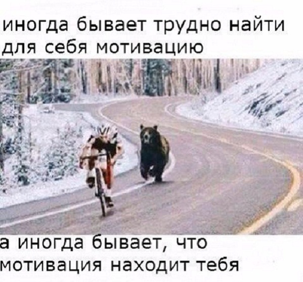 Картинки и мемы для настроения - 119