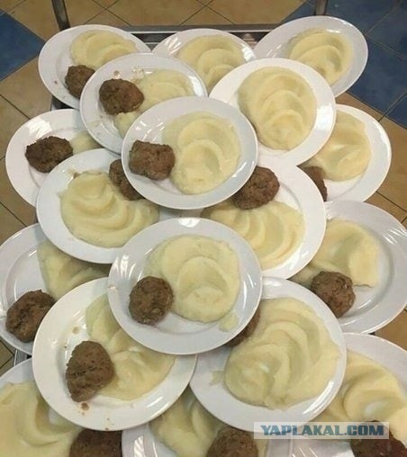 Аппетитный фотоснимок из школьной столовой.

Котлетки с пюрешкой