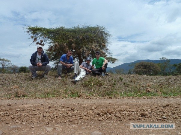 AFRICA - (Эфиопия,Кения,Танзация) 4-16 ноября 2011