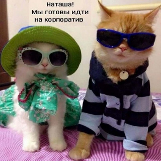 Немного картинок для настроения
