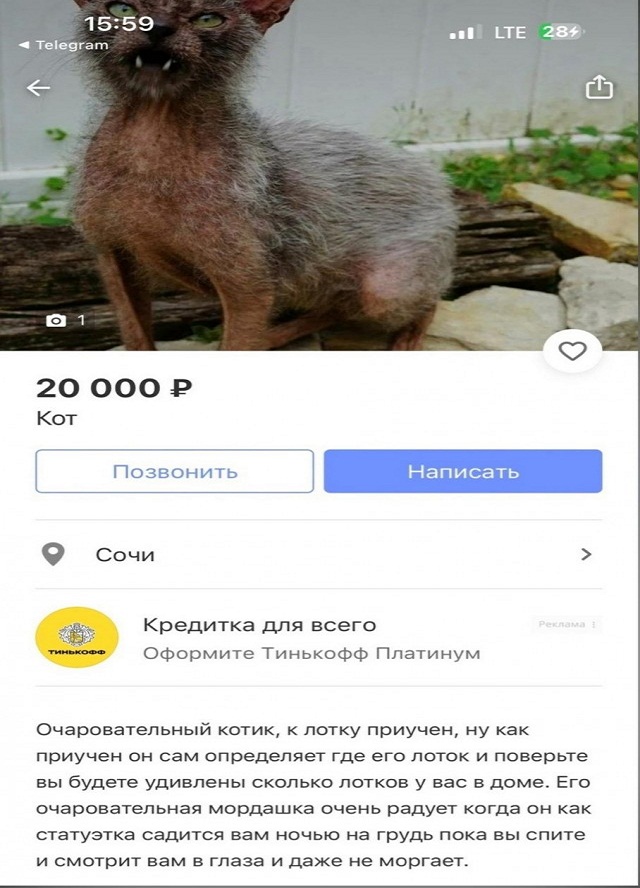 Картинки и мемы для настроения - 187