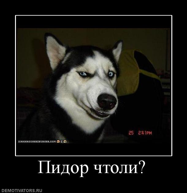 Секс без обязательств НА САМОМ ДЕЛЕ