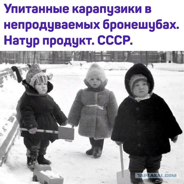 Так себе картинки 16.02.24