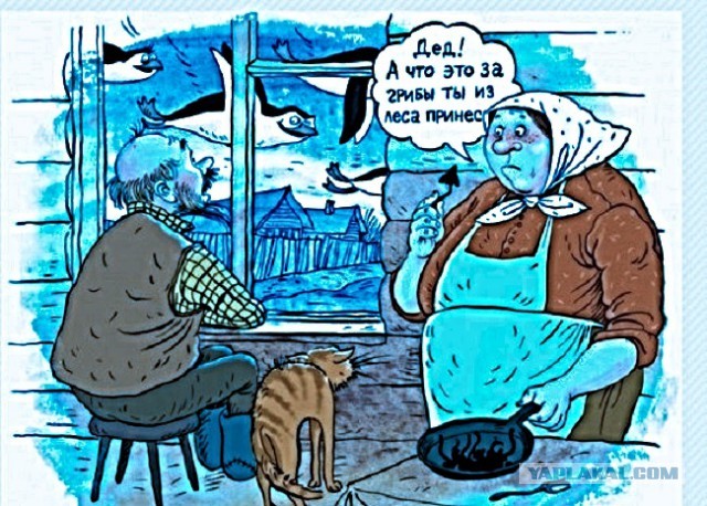 В Саратов, в лес, за грибами!