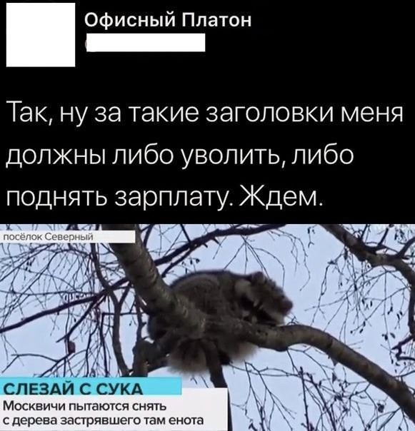 Картинки разные с надписями и без