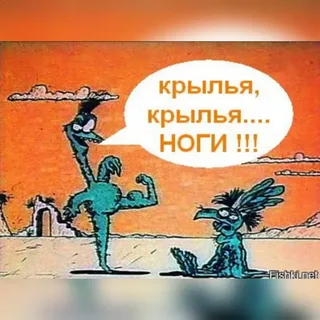 И снова крылышки