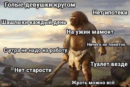 Потрясающий ассортимент смартфонов в 2024 г.
