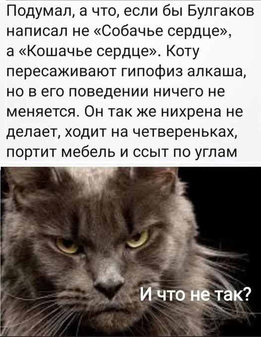 Так себе картинки 28.11.24
