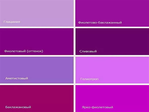Эта привычка за столом сразу выдает низкий интеллект человека