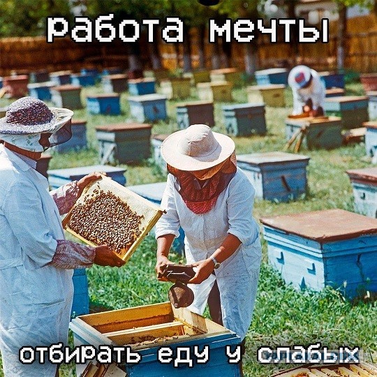 Засадил бы?