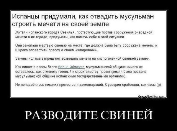 Общественный туалет установлен на месте бывшей разрушенной мечети в деревне Синьцзян.