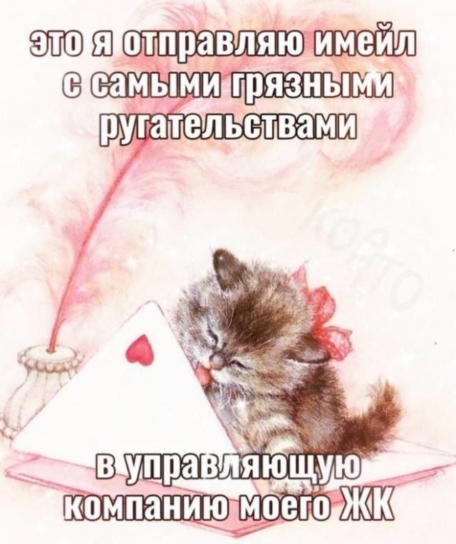 Картинки разные с надписями и без