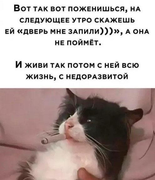 Картиночки, баянчики 21 марта