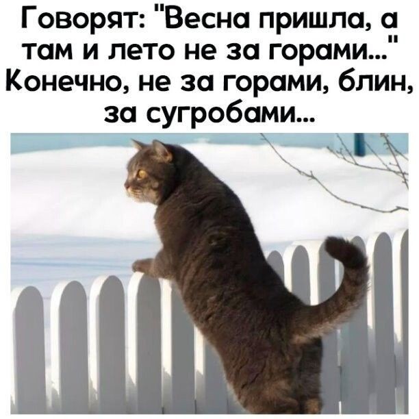 Весна ПРИШЛА!