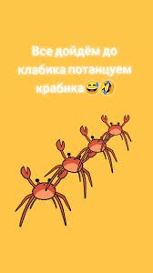 Парень прикрепил камеру к крабу, чтобы узнать, как они живут в своих норах. Результат оказался неожиданным