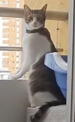 *БАЯН*Ну что, раб, ты так и будешь лежать?