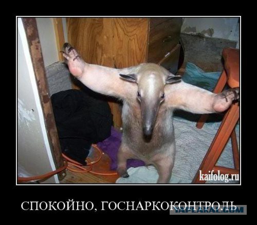 Картина жуткого будущего!