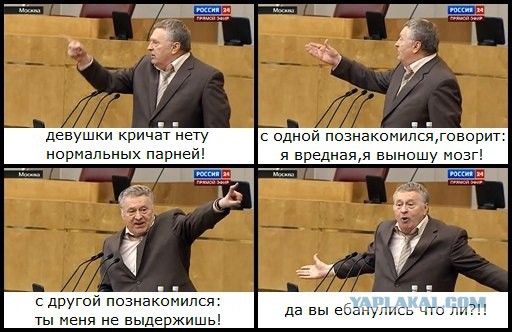 Владимир Вольфович негодует