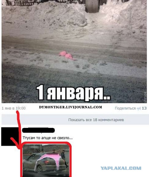 Смешные комментарии из социальных сетей