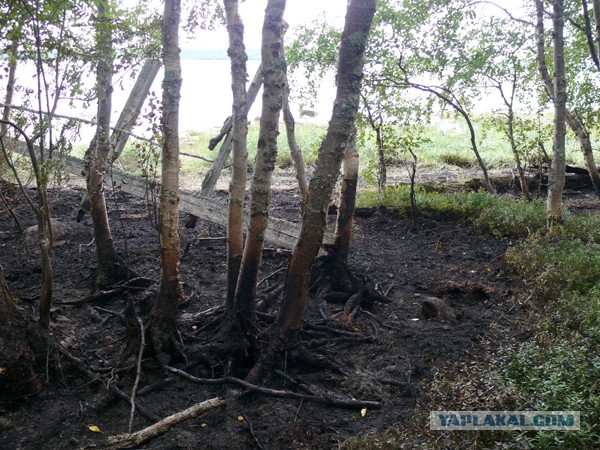 Почему я не люблю "палаточников"