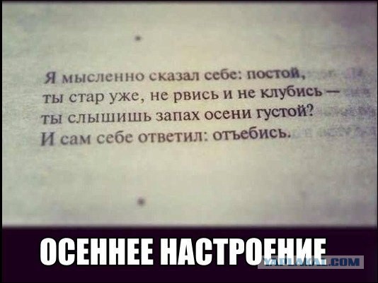 Смешные комментарии на 16.04.2014