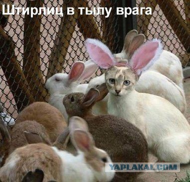 Немного позитива на пятницу