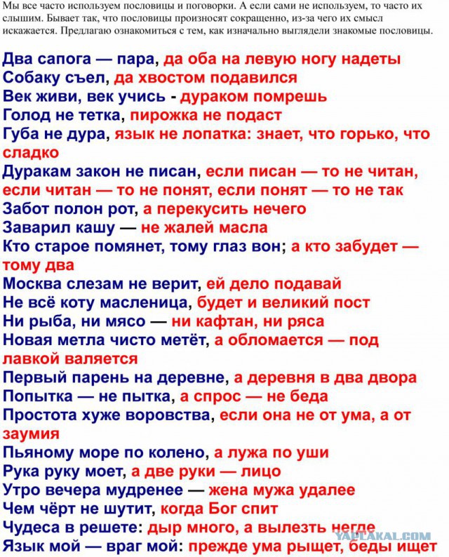 Смешные картинки и комментарии