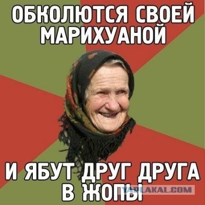 Волшебный Лес