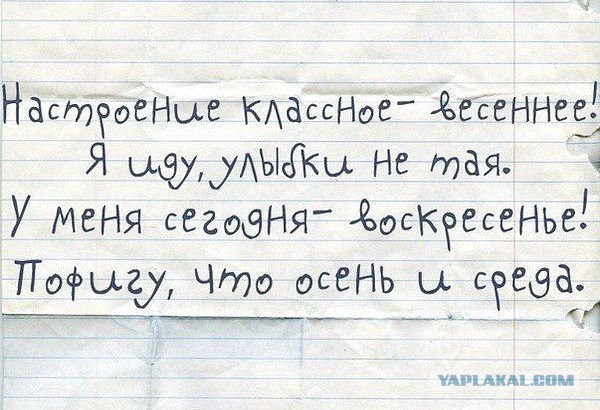 Добряки, плюсующие всех подряд