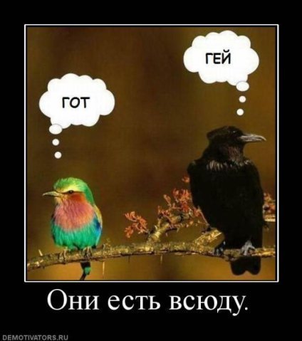 Демотиваторов пост, добавляйте свои