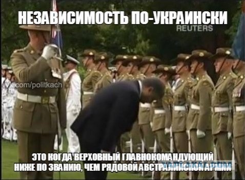 Протокол на уровне рефлекса