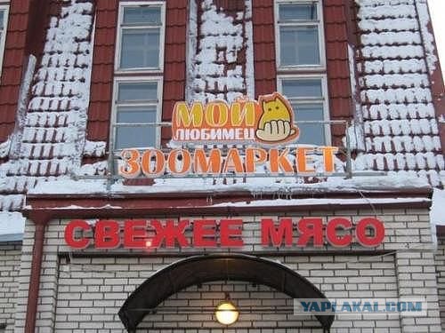 Маразмы