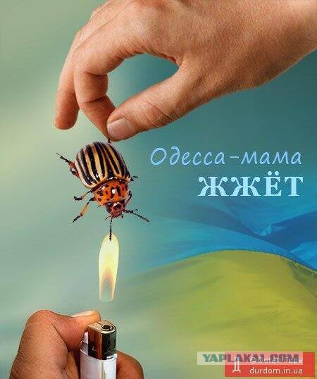 Порошенко и паспорта