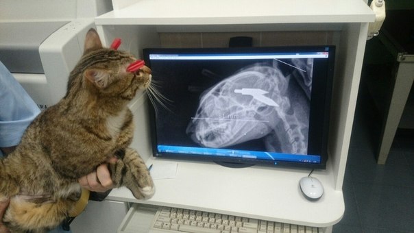Это кем же надо быть ....