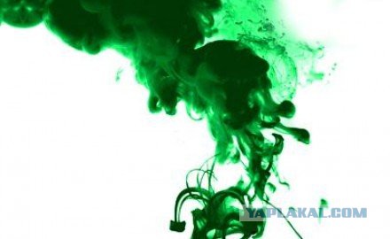 Эволюция и анатомия Чужого