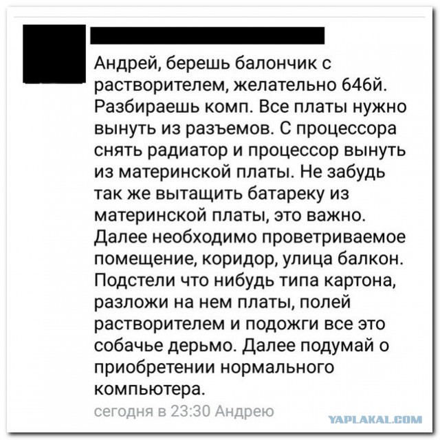 Веселые картинки