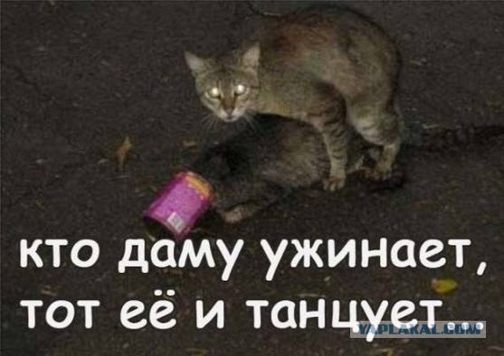 Мемы вспоминаем и добавляем....