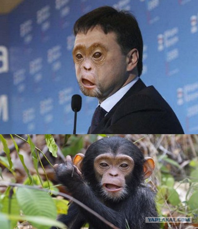 Наводнение в Краснодарском Крае
