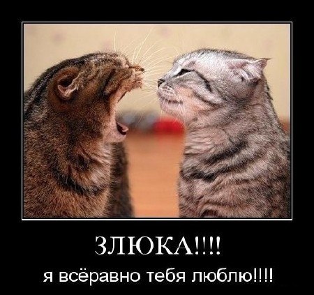 Картинки на пятницу