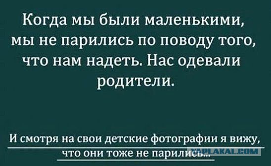 Смешные комментарии из социальных сетей 12.02.2016
